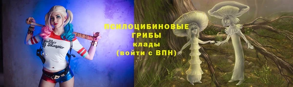 дмт Балабаново