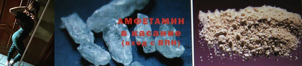 сатива Баксан