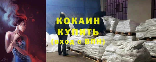 сатива Баксан