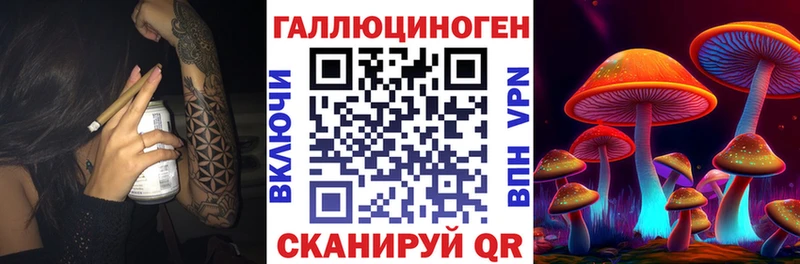 Купить  Невельск  Псилоцибиновые грибы Psilocybe 